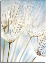 DesignClaud Dandelion Paardebloem - Botanische poster A4 + fotolijst wit