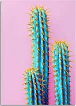 DesignClaud Cactus met roze achtergrond poster A4 + fotolijst zwart