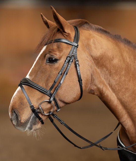 Têtière HFI Wavy Cob Brown