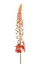 Emerald - Fleur artificielle Eremurus 108cm orange - Plante artificielle pour usage intérieur
