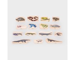 tickit® Houten Reptielen- En Amfibieënblokken