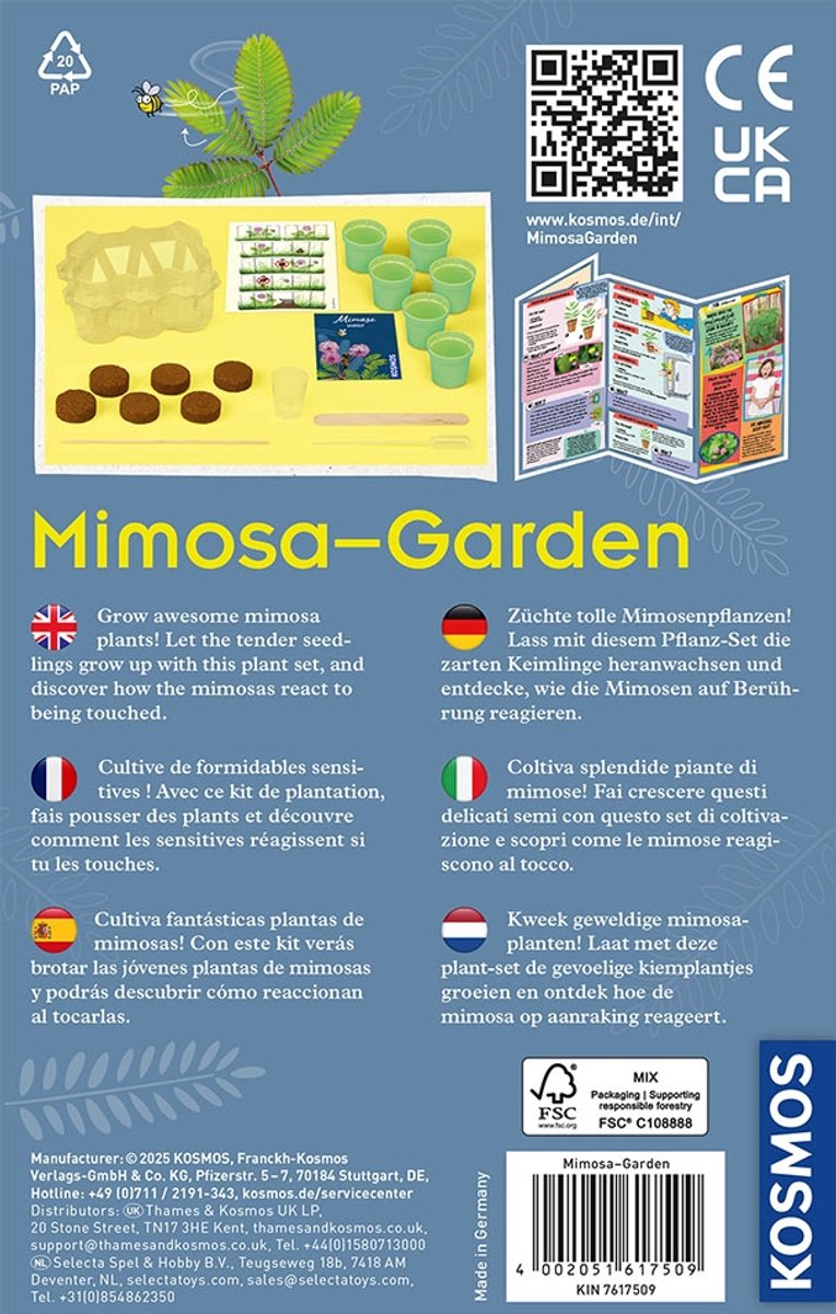 KOSMOS Mimosa Garden - Experimenteerset - Kweek Je Eigen Gevoelige Mimosa Planten - Mini Kas Inclusief Zaden - Ontdek Hoe Planten Reageren op Aanraking - STEM Speelgoed - Vanaf 6 Jaar — cadeau in Spellen & Speelgoed - foto 2