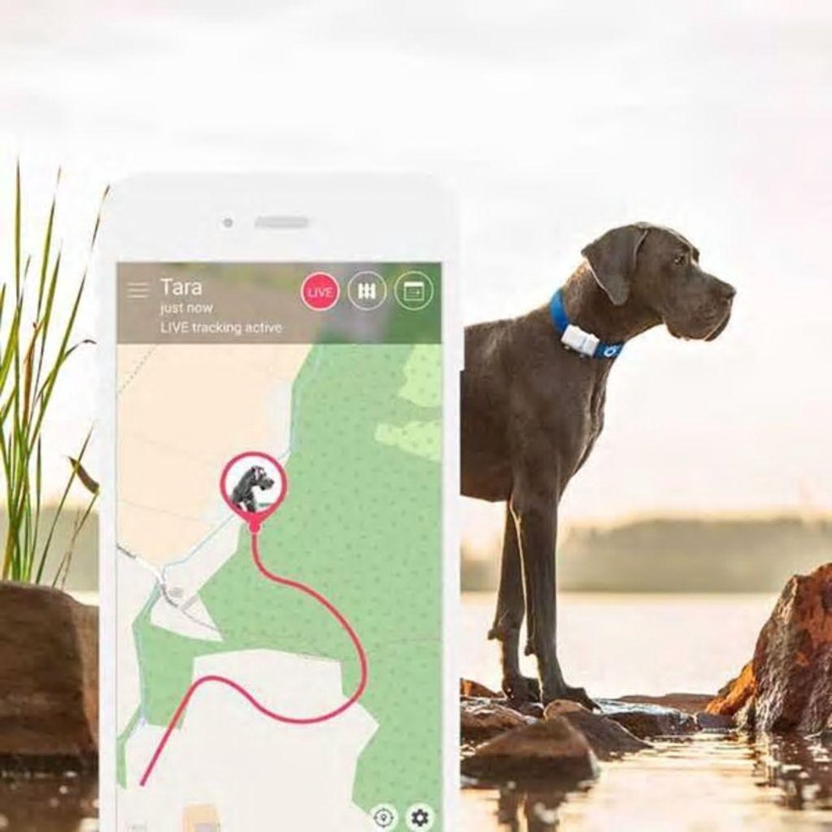 Tractive GPS huisdieren tracker voor grote honden GPS tracker hond