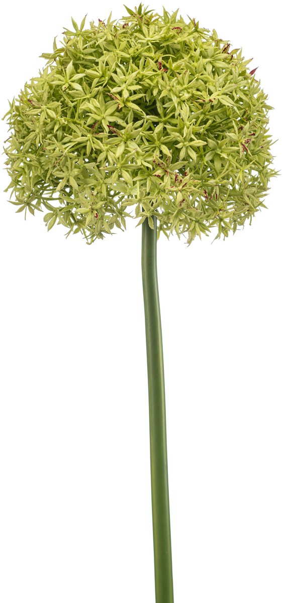 Emerald Kunstbloem Allium XL groen 90cm - Kunstplant voor binnen