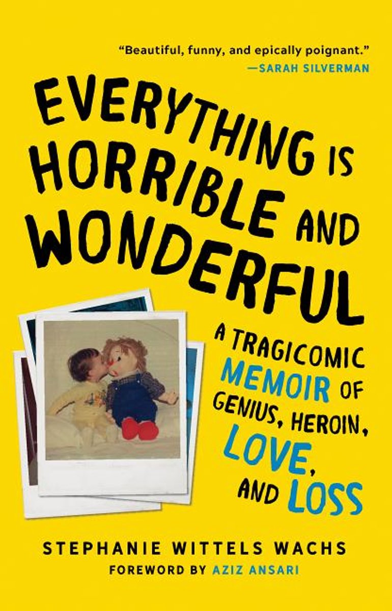 Everything Is Horrible And Wonderful van Stephanie Wittels Wachs