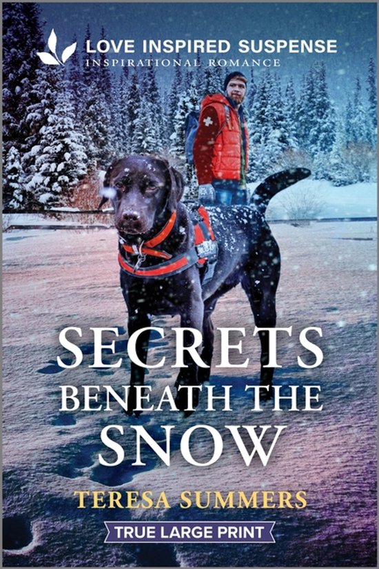 Secrets Beneath the Snow - cover
