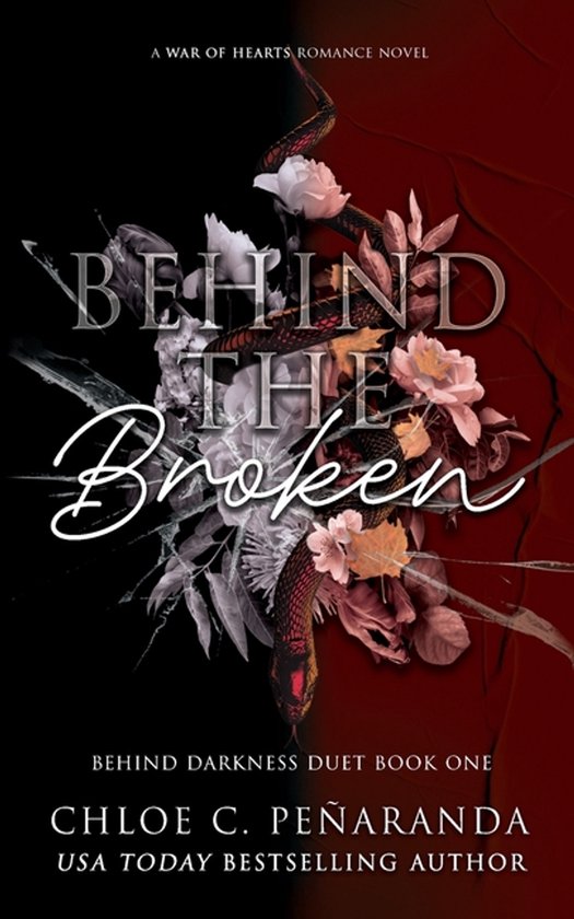 Behind The Broken (Behind Darkness Duet Book 1) - cover