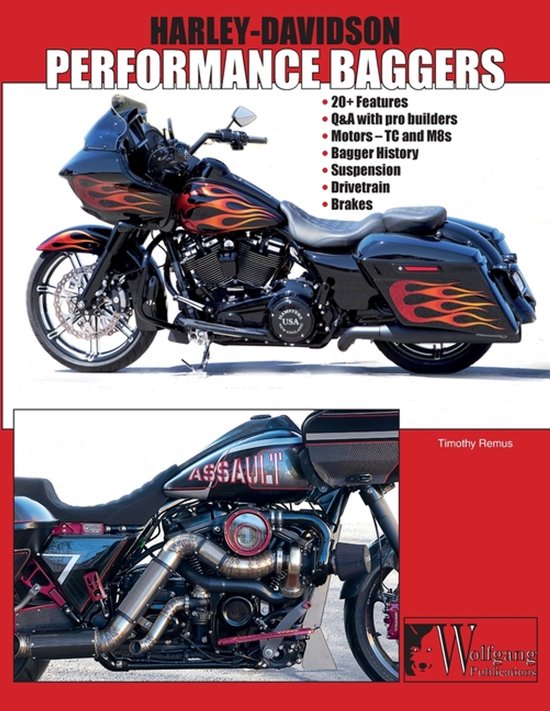 Harley-Davidson Performance Bagger - cover