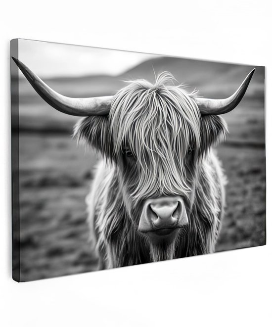 Tableau sur toile - Vache Highland écossaise - 90x60 cm - Vache Highland - Décoration d'intérieur - Tableaux animaux - Accessoires de Décoration murale - Intérieur de la pièce