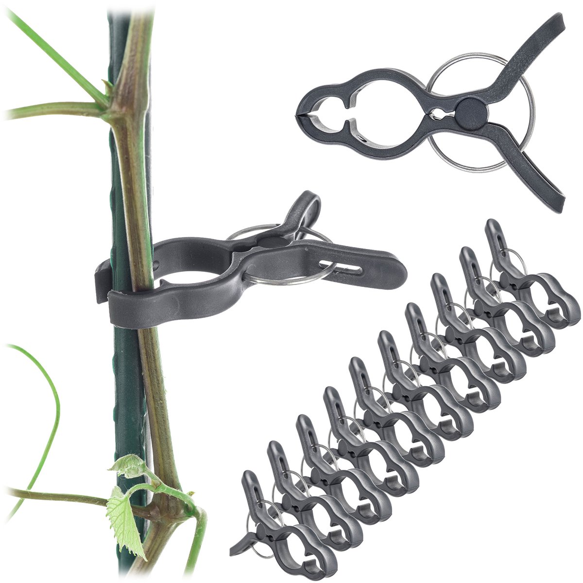 KADAX Plantenklemmen voor tomaten, komkommers, rozen en andere klimplanten, plantenclips, klein, klimhulp voor rankplanten, tomatenclips (10 x grijs)