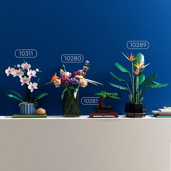 Plantes LEGO Botanical Collection : Orchidée, Bouquet de fleurs, Bonsaï et Oiseau de paradis.