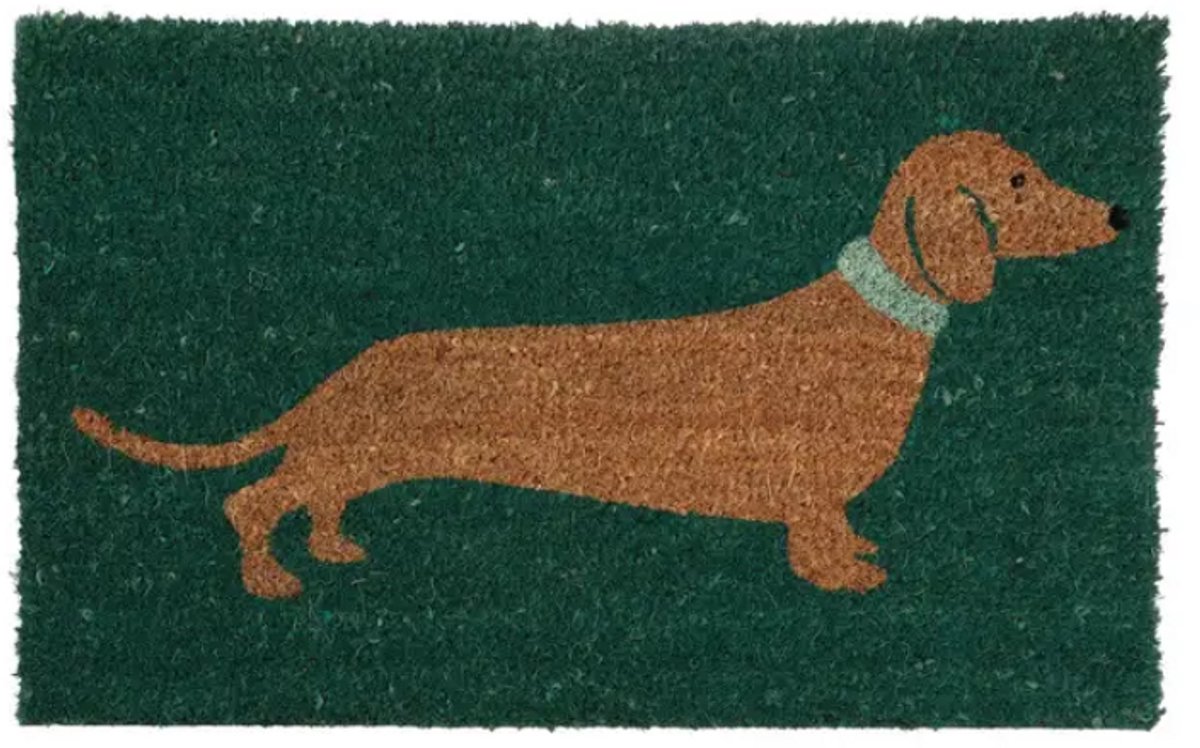 Teckel - Deurmat - Kokosvezel mat - Kokosmat - Hond - Groen - Groene deurmat - bruine teckel - 62x42cm - Teckel deurmat