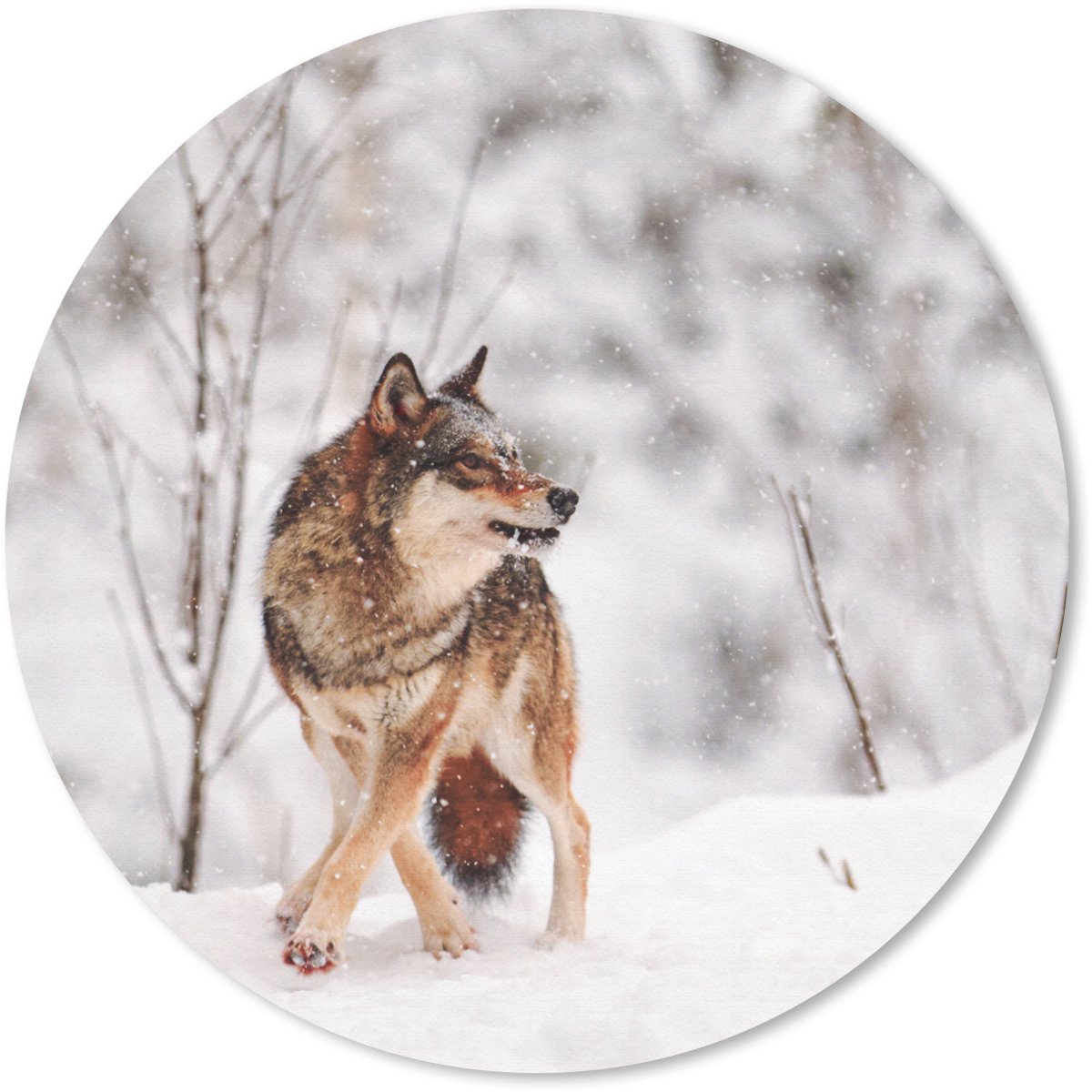 Muismat rond 40x40 cm - Mousepad Wolf - Winter - Sneeuw - Natuur - Dieren - Ronde muismatten