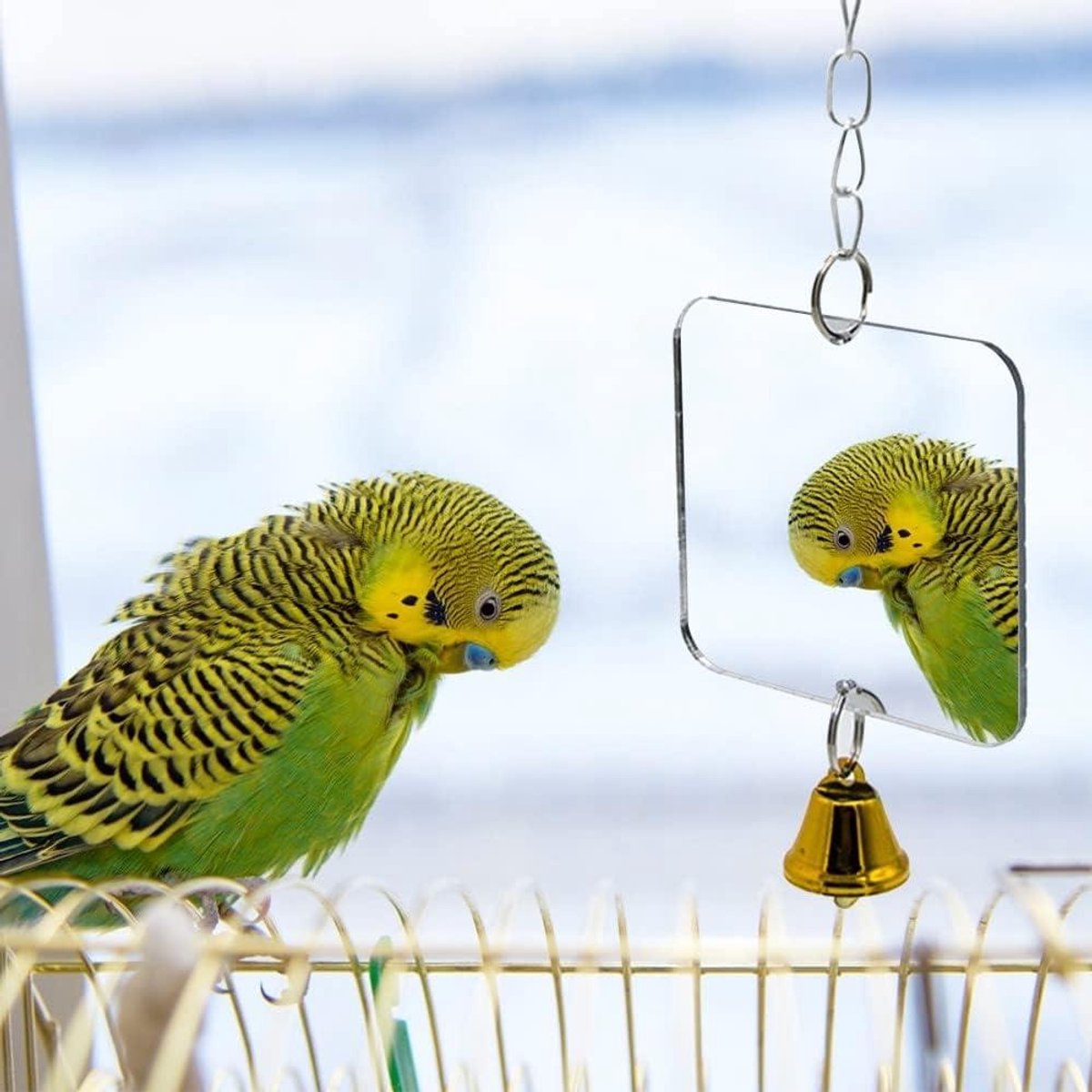 Acryl Spiegel voor Papegaaien met Touw en Bel - Hangspeelgoed voor Parkieten, Papegaaien, Cockatiels