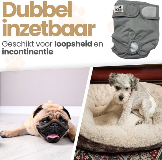 Grijze hondenbroekje met 'Dogs&Co' label. Een mopshond ligt op de grond. Een kleine hond zit op een kussen.