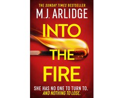 Helen Grace 13 - Into the Fire