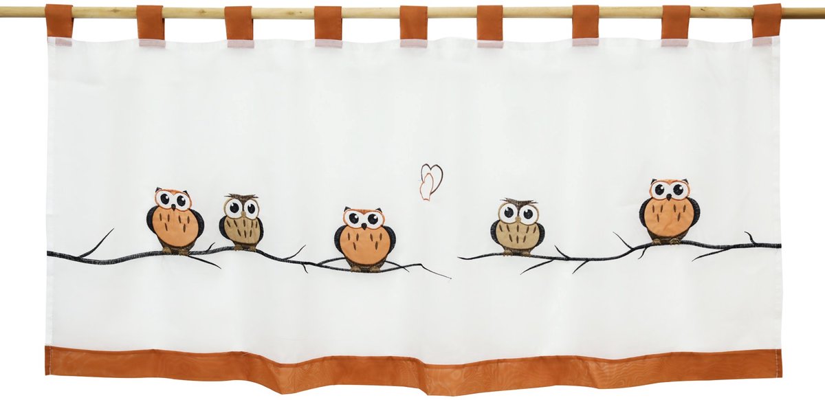 Unyqoos Charmante Transparante Voile Vitrage met Geborduurd Uilenpatroon voor Kleine Ramen boho