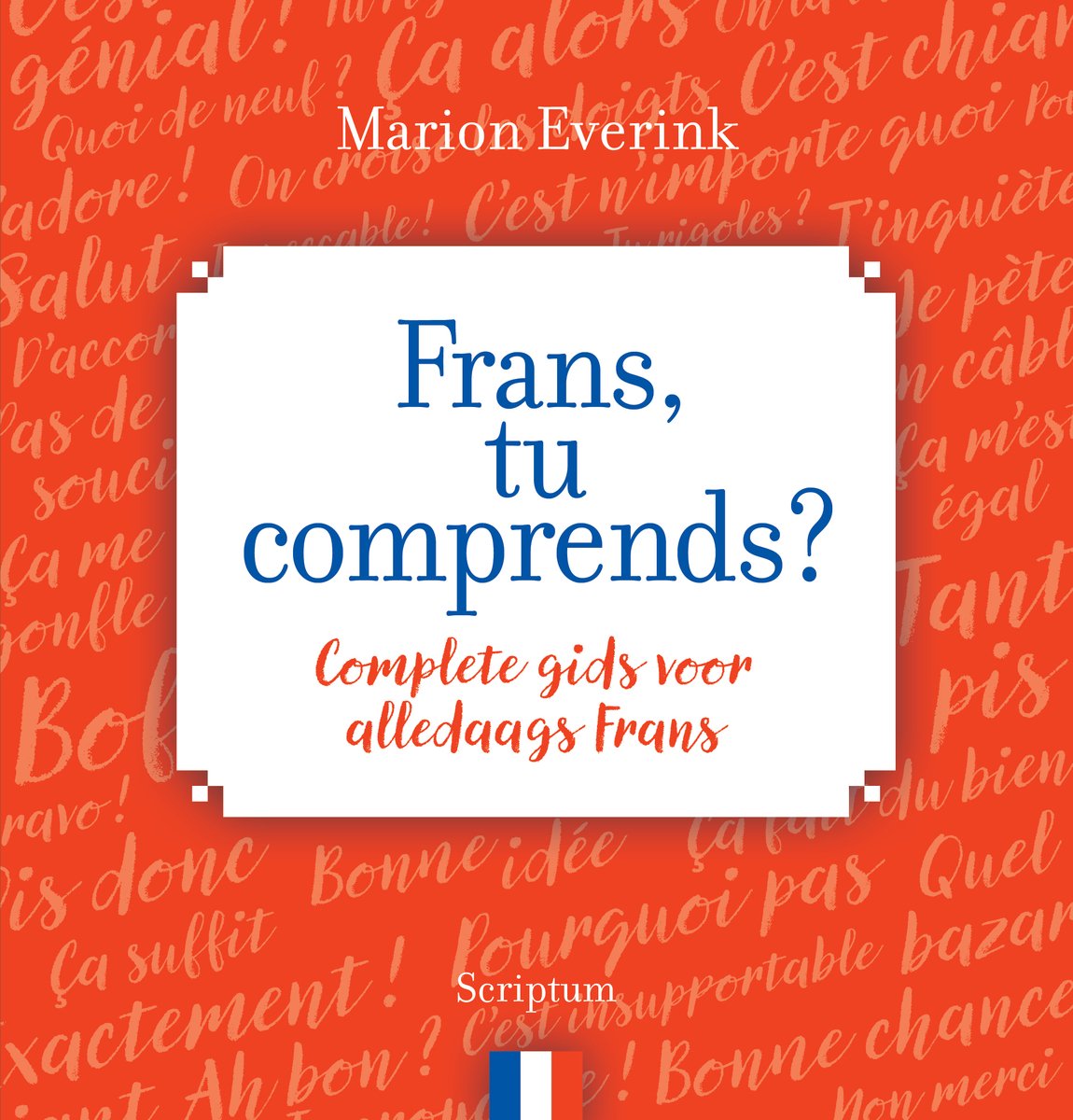Frans, tu comprends - Leer alledaags Frans met gesprekjes - boeken