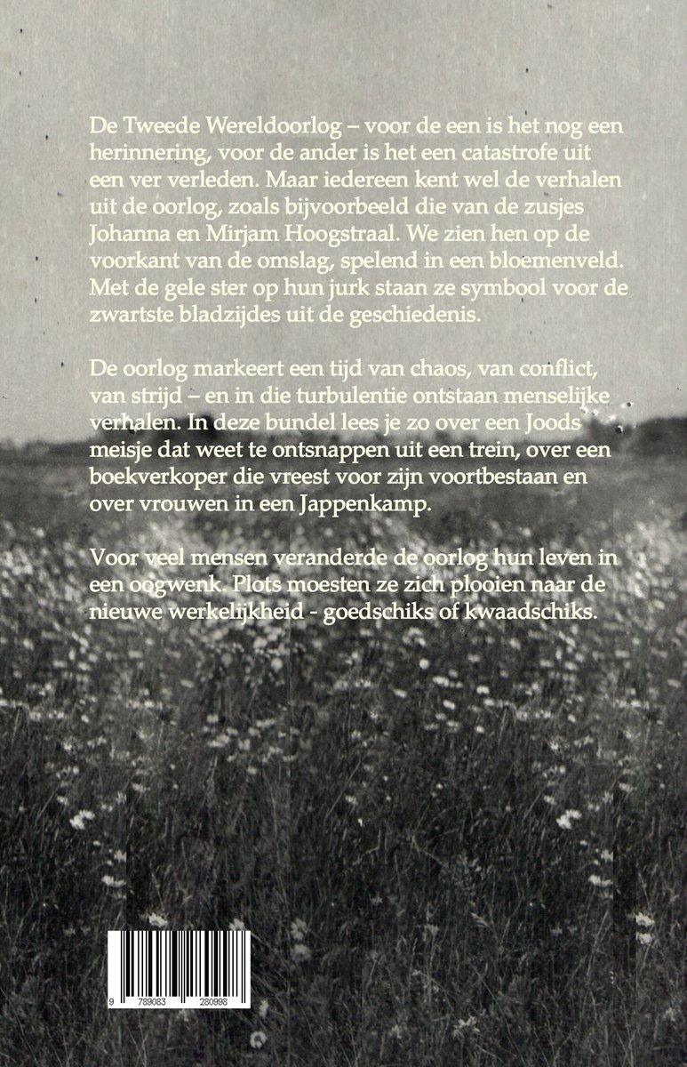 Historische verhalen - Korte verhalen uit de Tweede Wereldoorlog - back cover