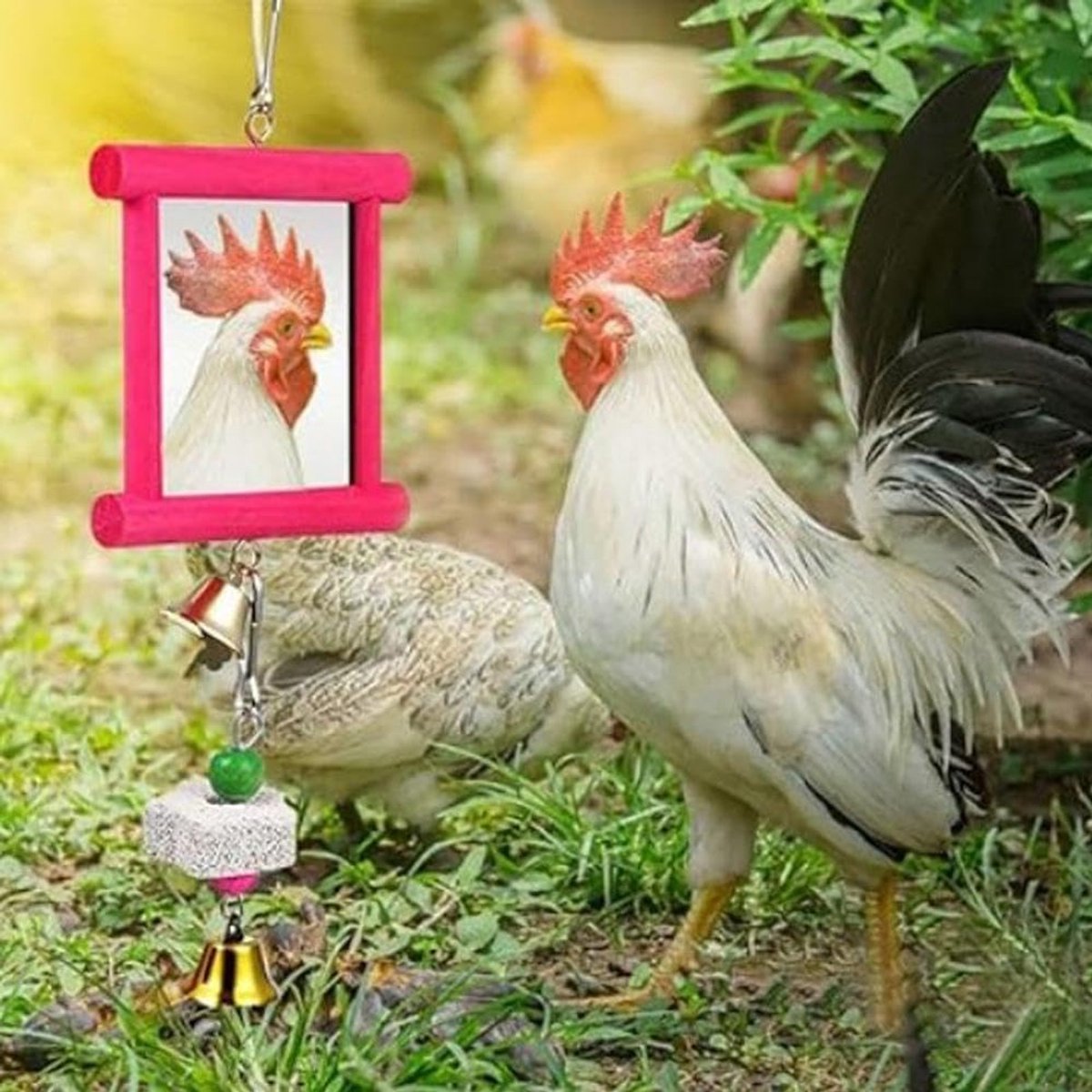 Kip Hangend Spiegel Speelgoed, Kip Spiegel Speelgoed Houten Kip Hangend Spiegel Speelgoed met Bel voor Kip Stuff Parkiet Vogel Spelen