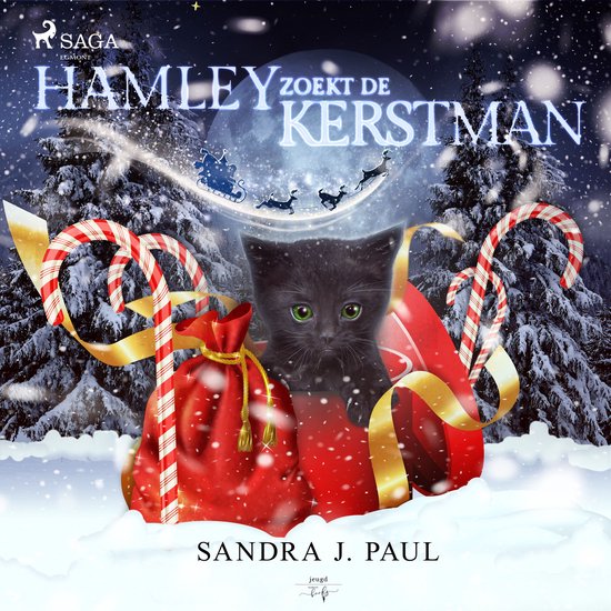 Hamley zoekt de kerstman - cover