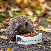 CJ Wildlife - Premium egel krachtvoer - 2,5 kg - 36% Eiwit - Gezond voer voor egels - Egelvoer