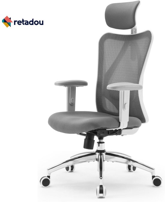 EC100 Ergonomic Office Chair(DE Version), Black