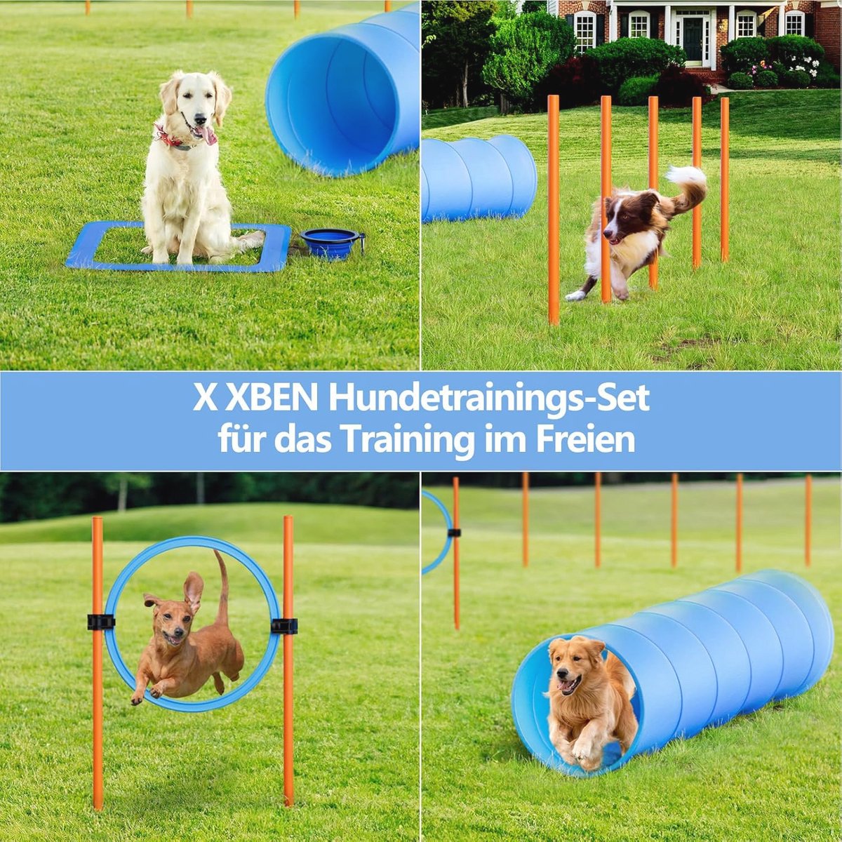 PawHut honden agility set, hondenparcours, 1 ring, 2 tunnels, 2