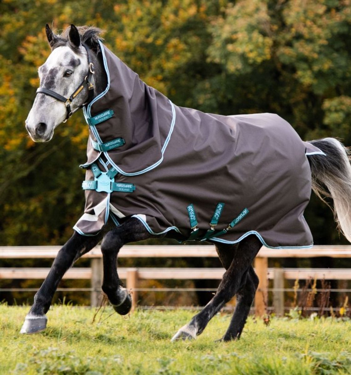 Horseware Amigo Bravo 12 Plus Turnout 250 gram regendeken
