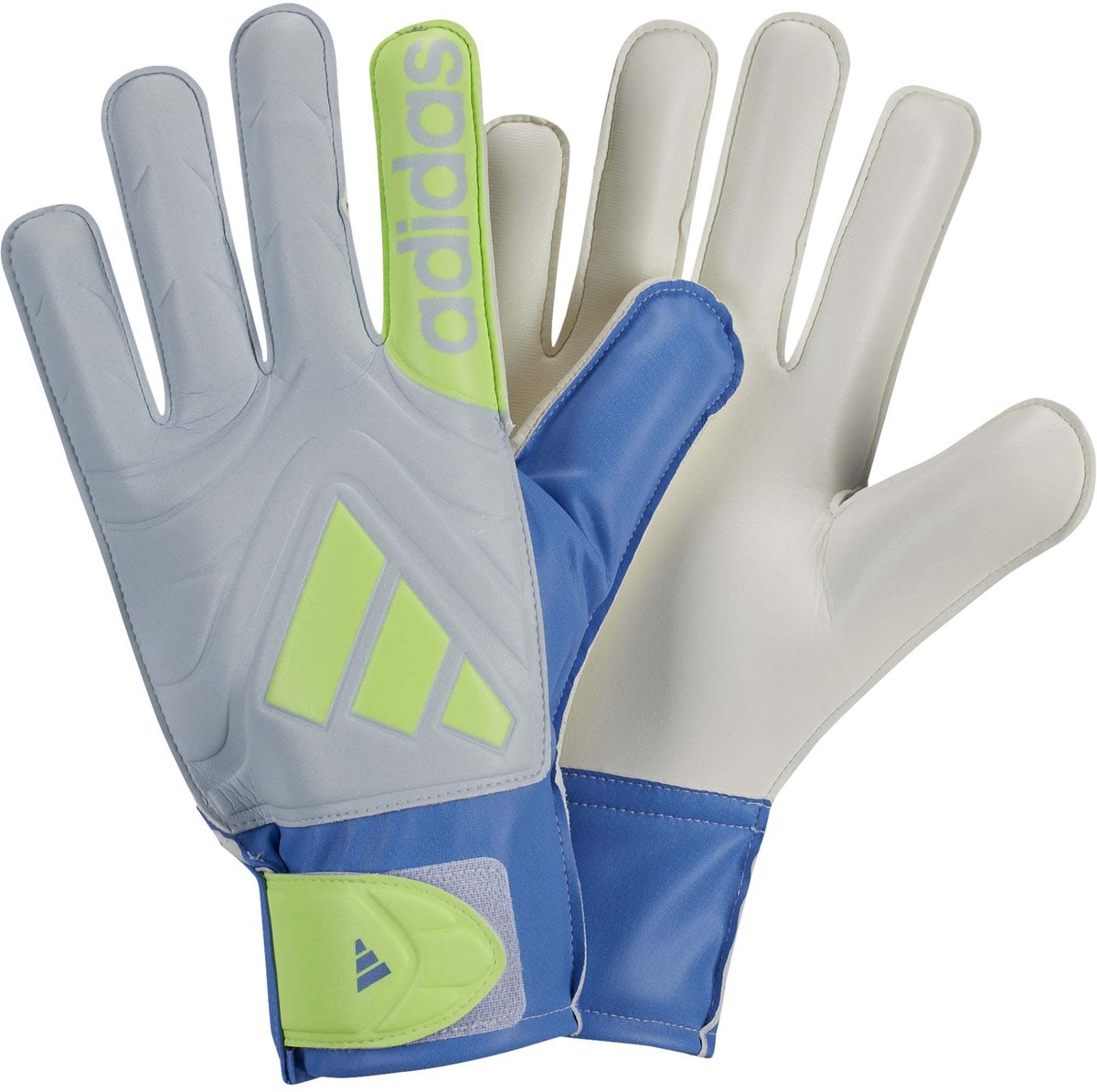 Adidas Sport Accessoires Copa Gl Clb Sportswear Volwassen Blauw