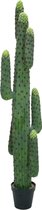 EUROPALMS Mexican cactus, artificial plant, green, 173cm