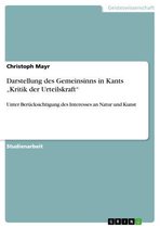 Darstellung des Gemeinsinns in Kants 'Kritik der Urteilskraft'