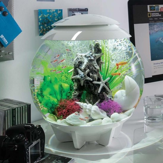 BiOrb HALO 30 Moonlight LED Aquarium Wit