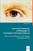 Neuronal Substrates of Blindsight in Hemispherectomized Subjects