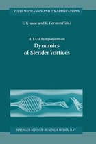 IUTAM Symposium on Dynamics of Slender Vortices