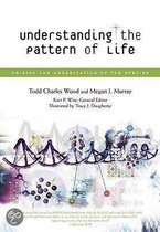 Understanding the Pattern of Life