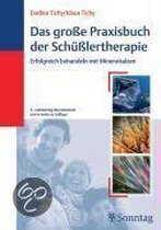 Das große Praxisbuch der Schüßlertherapie
