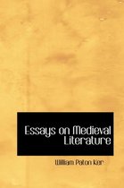 Essays on Medieval Literature