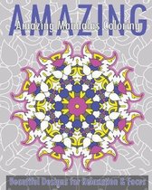 Amazing Mandalas Coloring Book (Beautiful Designs for Relaxation and Focus)