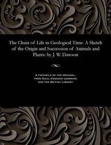 The Chain of Life in Geological Time