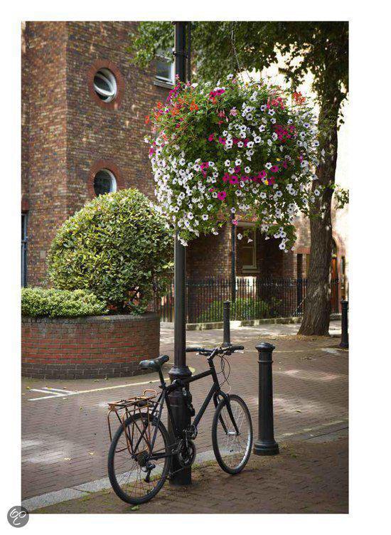 Een fiets die geparkeerd staat voor een bloemenmand die aan een paal hangt.