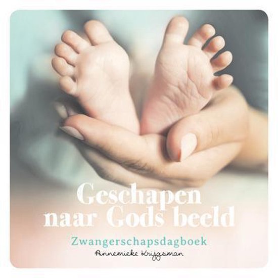 Cover van het boek 'Geschapen naar Gods beeld'