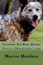 Secretos del Blue Heeler