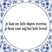 Tegeltje met Spreuk (Tegeltjeswijsheid): Je laat me hele dagen zweven; je bent voor mij het hele leven! + Kado verpakking & Plakhanger