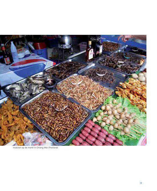 Marktkraam met diverse insecten en worstjes.