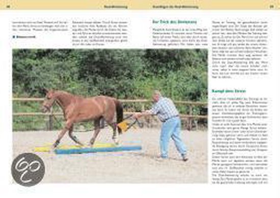 Dual-Aktivierung - cover