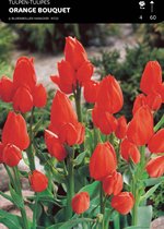 50 x Tulp Orange Bouquet