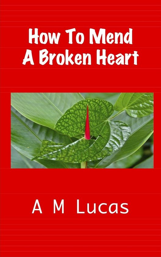 How To Mend A Broken Heart - cover