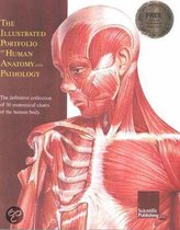 The Illustrated Portfolio of Human Anatomy and Pathology