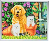 Diamond Painting Crystal Art Kit ® Cat and Dog Friends 21x25 cm incl. zilveren frame met standaard, partial painting landscape